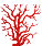 Corallo