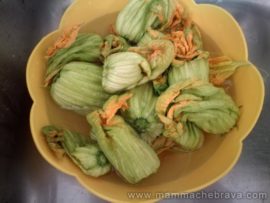 fiori di zucchine