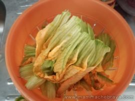fiori di zucchine