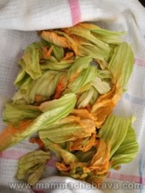 fiori di zucchine