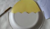 pulcino
